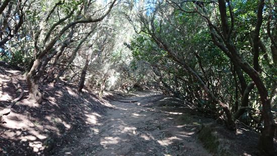 Anaga Gebirge wandern im Anaga Gebirge